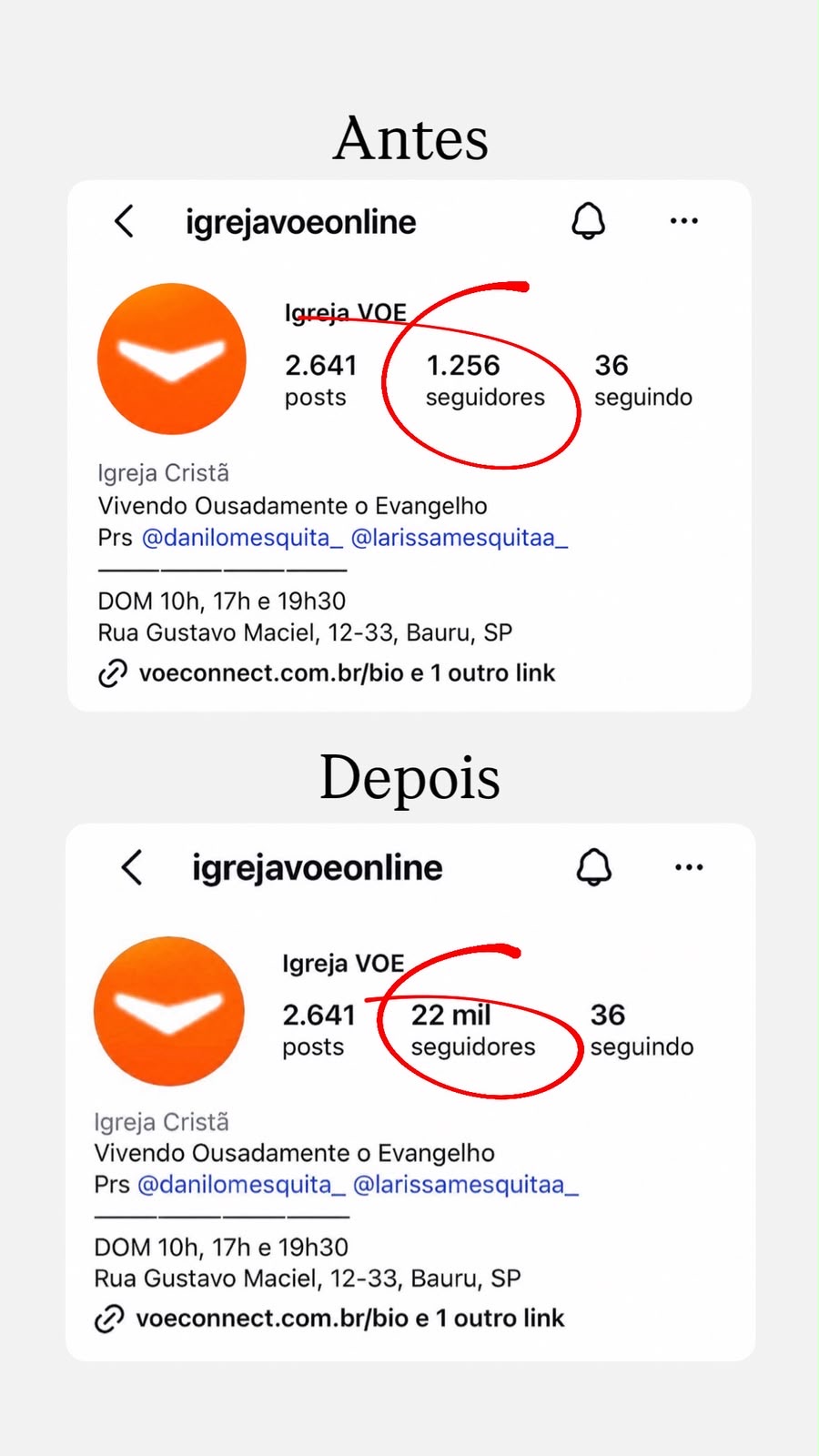Print de crescimento de seguidores no Instagram